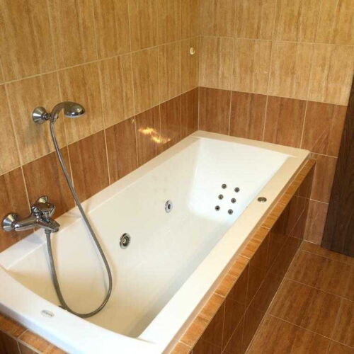 Pokoj se sprchou  s manželskou postelí (s možností přistýlky)