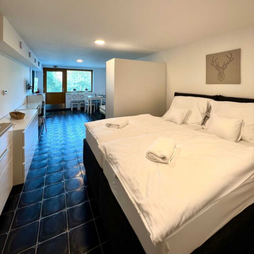 Apartman se sprchou s vlastní kuchyňkou pro 2 os. (s možností přistýlky)