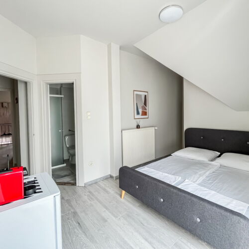 Apartament familial(ă) cu balcon cu 1 camera pentru 2 pers.