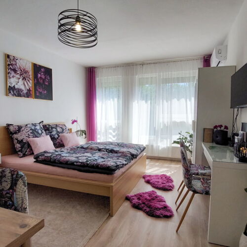 Apartament cu aer condiționat cu vedere spre pădure cu 1 camera pentru 2 pers.