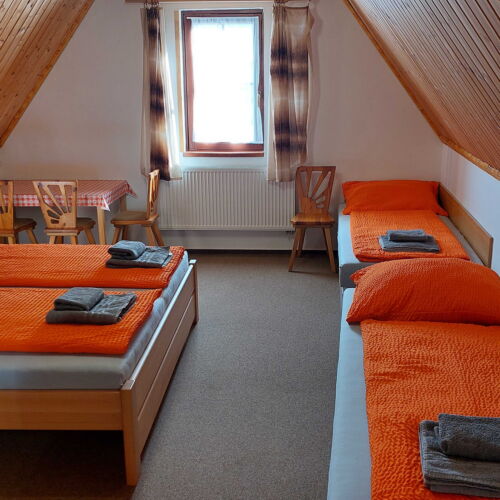 Pokój 4-osobowy z prysznicem z tarasem