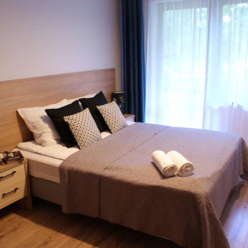 Camera dubla classic cu vedere spre grădină