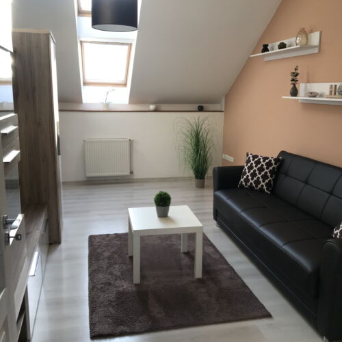Mansard Romantic 1-Room Apartment for 2 Persons (extra bed available)