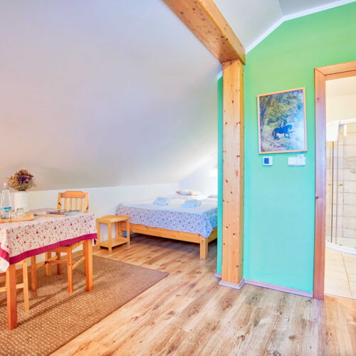 Standard Mansard Double Room