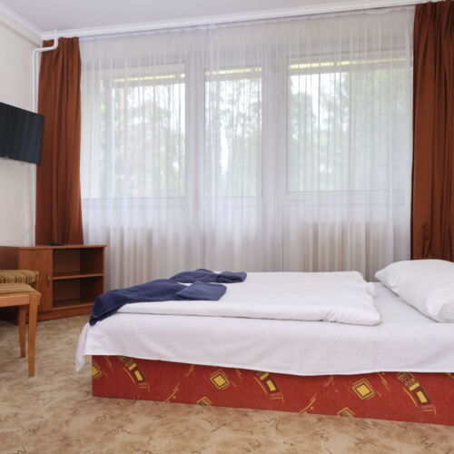 Camera dubla studio cu vedere spre grădină