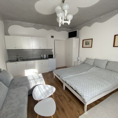 Apartament la parter d cu 1 camera pentru 4 pers.