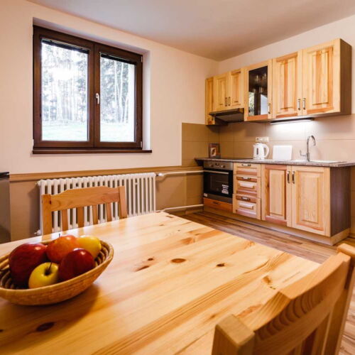 Apartament 2-osobowy z prysznicem z własną kuchnią (możliwa dostawka)
