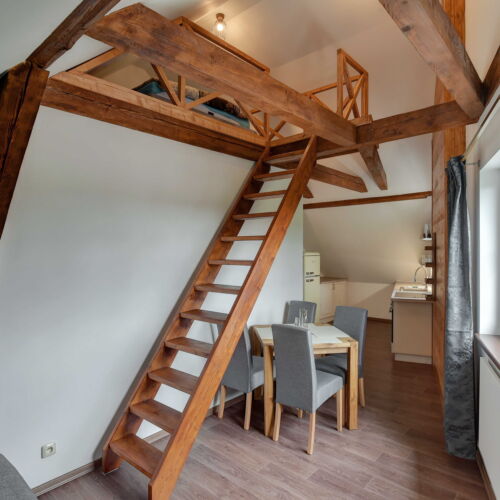 Apartament cu duș cu chicinetă proprie pentru 4 pers. (se poate solicita pat suplimentar)