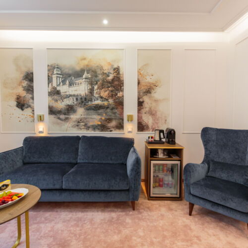 Rezydencja pokój 2-osobowy Premia Deluxe z 1 pomieszczeniem sypialnianym (możliwa dostawka)