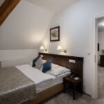 Deluxe Mansard 1-Room Suite for 2 Persons