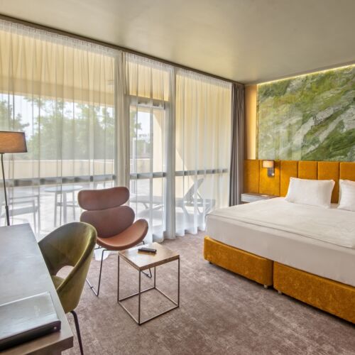Park View Premium Double Room (extra bed available)
