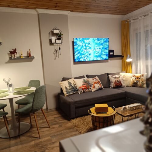 Apartament cu aer condiționat cu terasă pentru 2 pers. (se inchirieaza doar integral)