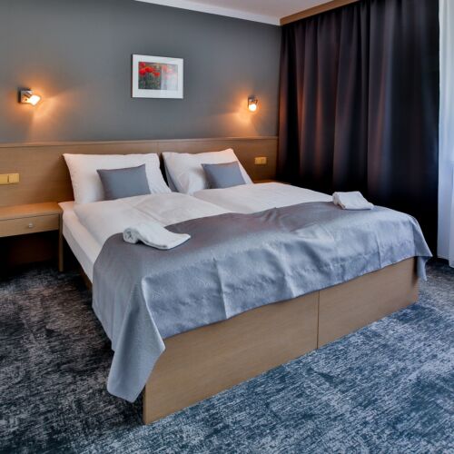 Superior Pokoj bezbariérový s manželskou postelí