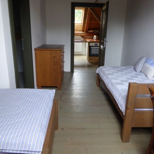 Pokoj s koupelnou pro 2 os. s výhledem na les (s možností přistýlky)