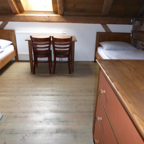 Pokoj s koupelnou pro 2 os. s výhledem na les