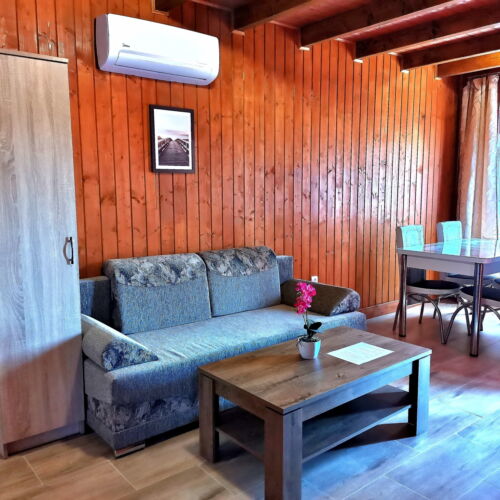 Apartament 4-osobowy z klimatyzacją z tarasem z 2 pomieszczeniami sypialnianymi (możliwa dostawka)