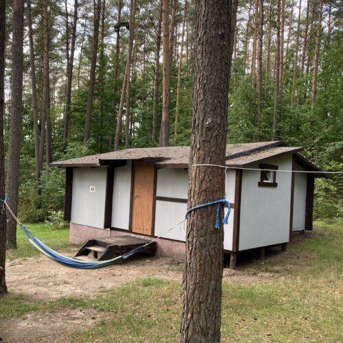 Bungalow 5-osobowy z łazienką z widokiem na las