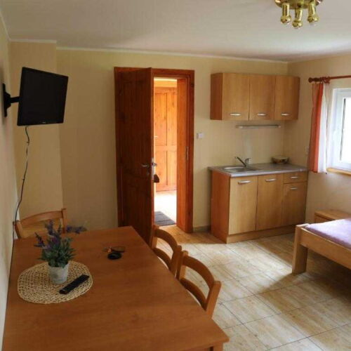 1-Room Apartment for 6 Persons with Shower and Kitchenette