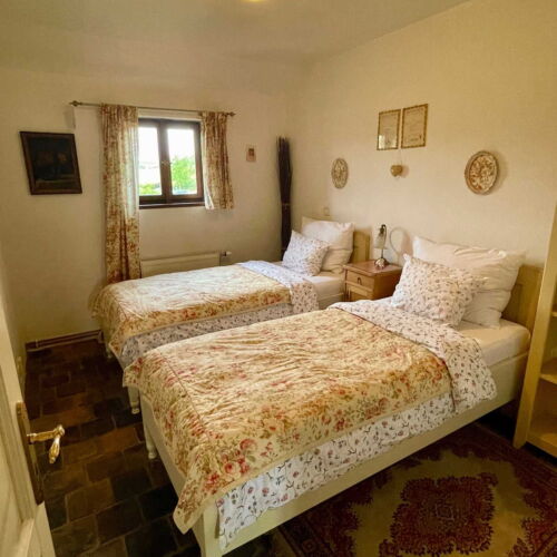 Twin Room with Shower