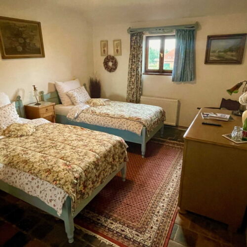 Twin Room with Shower