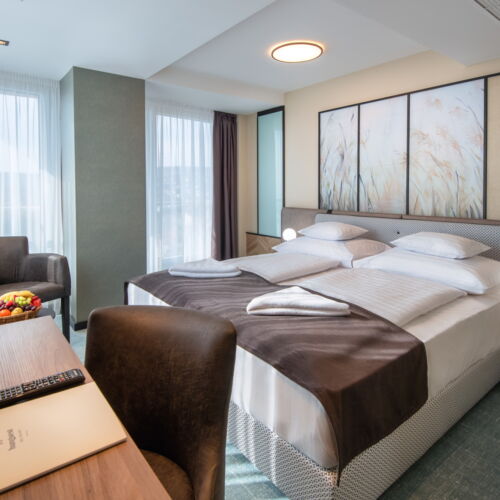 Camera  standard twin