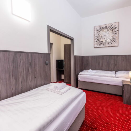 Camera twin cu duș cu chicinetă proprie