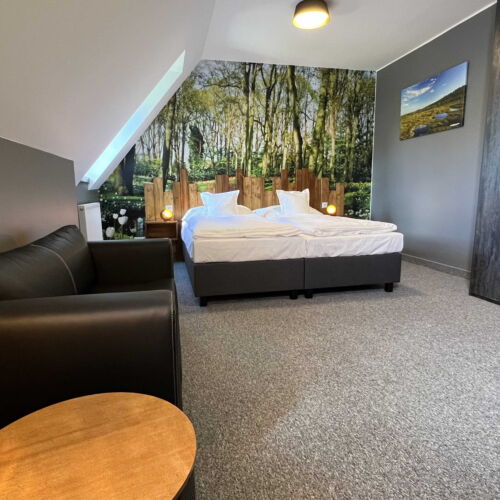 Pokoj s manželskou postelí (s možností přistýlky)