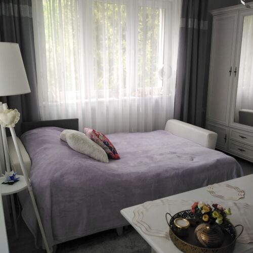 Camera dubla cu baie comună cu vedere spre grădină