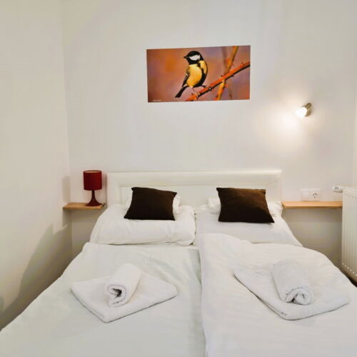 Apartament 2-osobowy na parterze z 1 pomieszczeniem sypialnianym