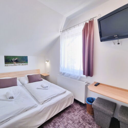 Apartament 2-osobowy na piętrze z widokiem na park z 1 pomieszczeniem sypialnianym