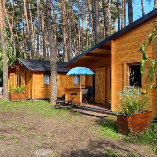 Cabană familial(ă) cu vedere spre pădure pentru 6 pers. (se inchirieaza doar integral)