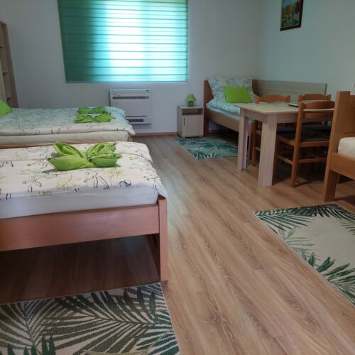 Ground Floor 1-Room Apartment for 5 Persons ensuite