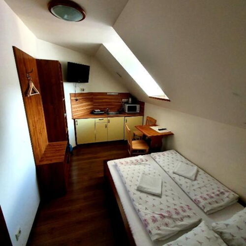 Pokój 2-osobowy z prysznicem z aneksem kuchennym