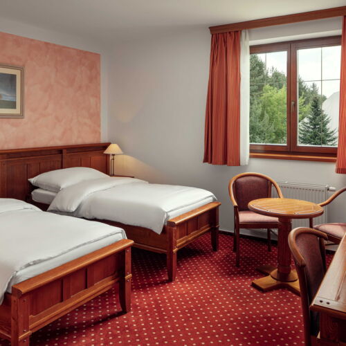 Pokój 2-osobowy z prysznicem