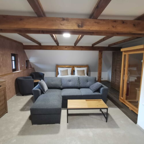 Apartament prezidential cu saună cu 1 camera pentru 2 pers. (se poate solicita pat suplimentar)