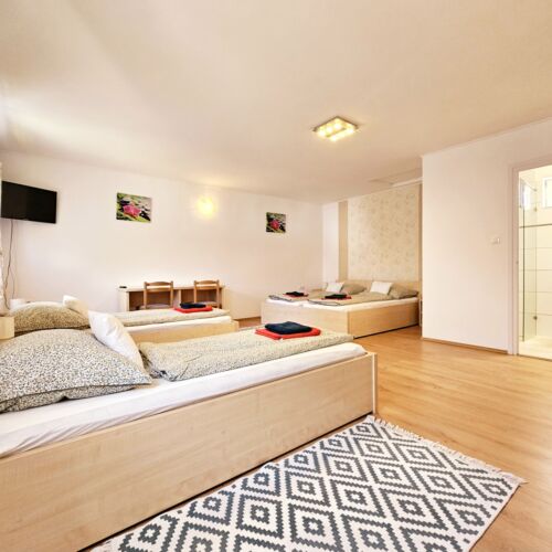 Apartament 7-osobowy cały dom z tarasem (możliwa dostawka)