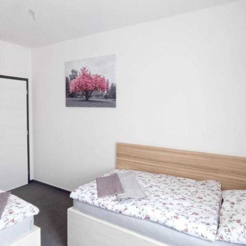 Camera twin cu aer condiționat cu duș