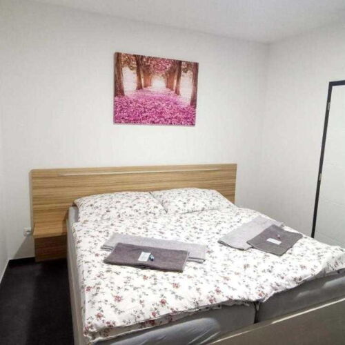 Camera dubla cu aer condiționat cu duș