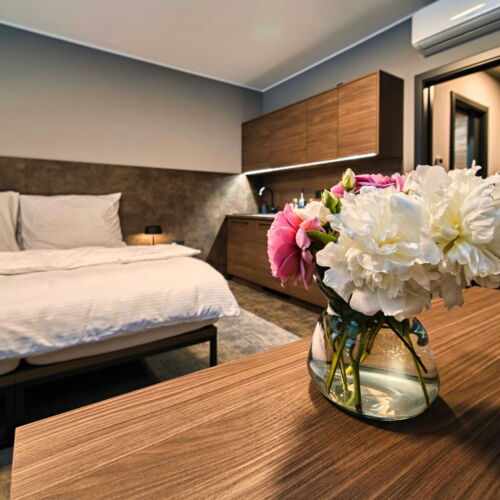 Air Conditioned Triple Room with Shower