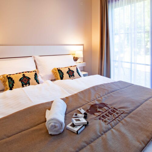 Camera dubla cu aer condiționat cu duș (se poate solicita pat suplimentar)