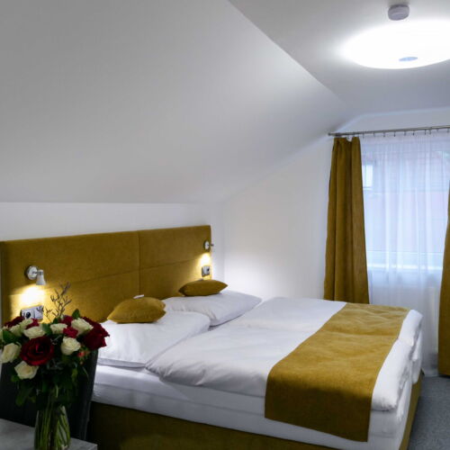 Standard Pokoj se sprchou pro 2 os.