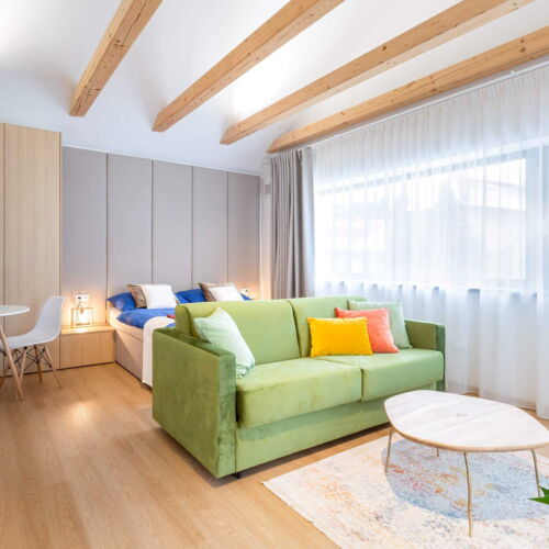 Apartament cu bucătărie proprie cu vedere spre grădină cu 1 camera pentru 2 pers. (se poate solicita pat suplimentar)