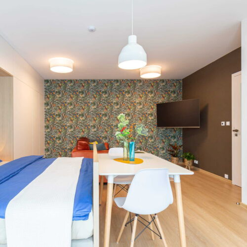 Apartament economy cu bucătărie proprie cu 1 camera pentru 2 pers. (se poate solicita pat suplimentar)