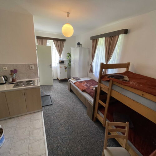 Camera tripla cu chicinetă proprie