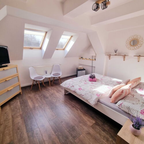 Pokoj se sprchou s manželskou postelí v podkroví