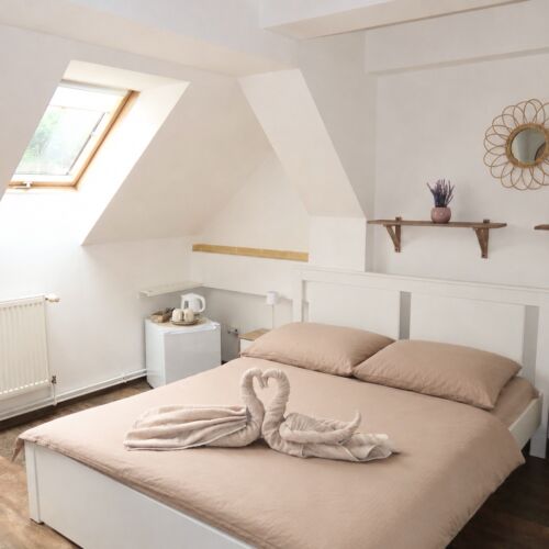 Mansard Double Room with Shower