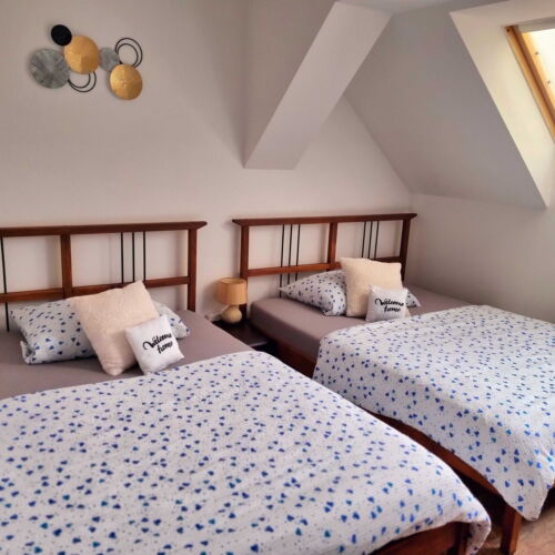 Pokoj se sprchou pro 2 os. v podkroví