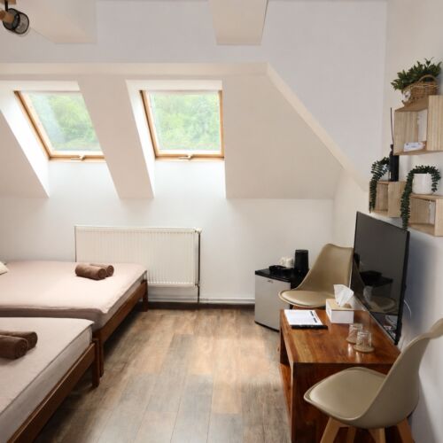 Mansard Twin Room with Shower