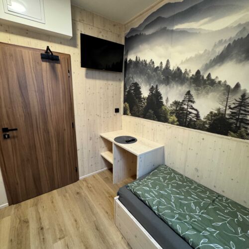 Pokój 1-osobowy z prysznicem (możliwa dostawka)