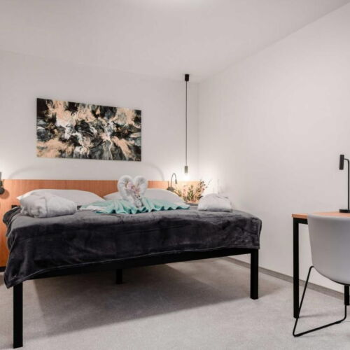 Superior Pokoj se sprchou pro 2 os.